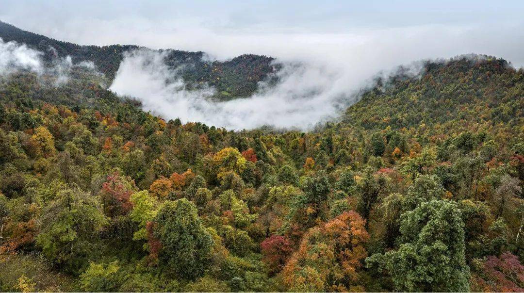 马边这10个绝美秘境,藏着人们"最向往的生活"!_大自然_金家沟_新寨