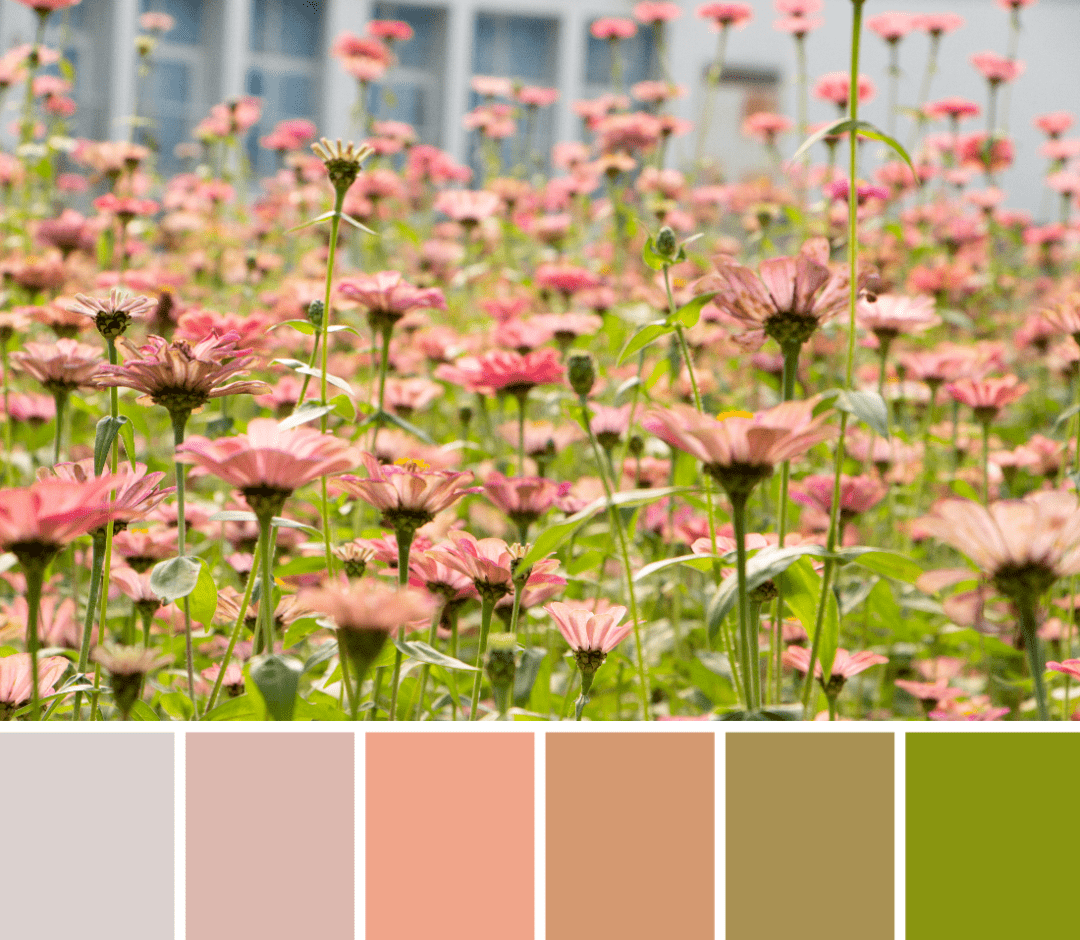 冬日专属色卡新鲜出炉!快来领取吧~_校园_赵曼媛_李威