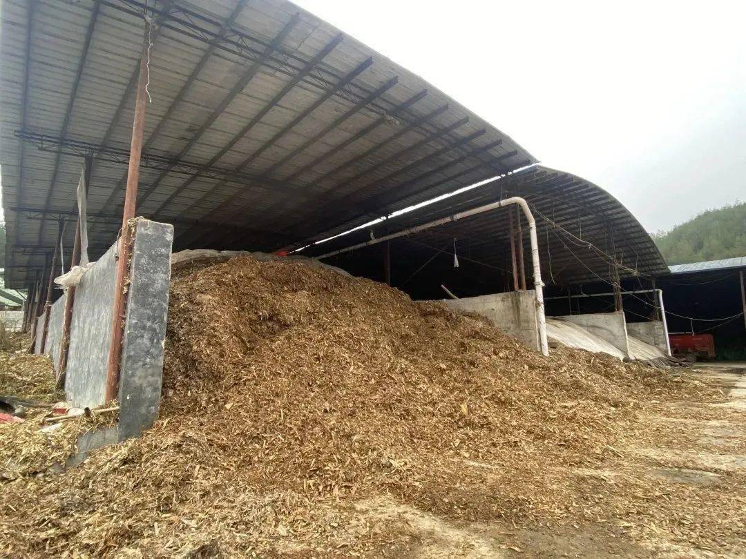 秸秆不"沃灰",还能用来做什么?_利川_饲料_生产的