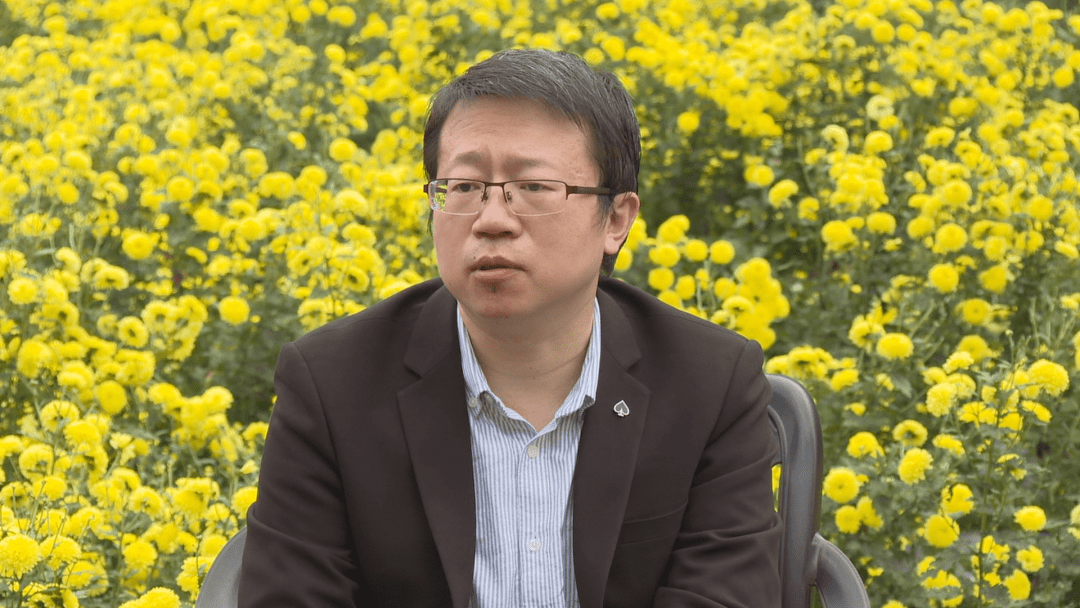 陈海涛主任中医师丽水市中医院丽水市特级绿谷名中医浙江省名中医