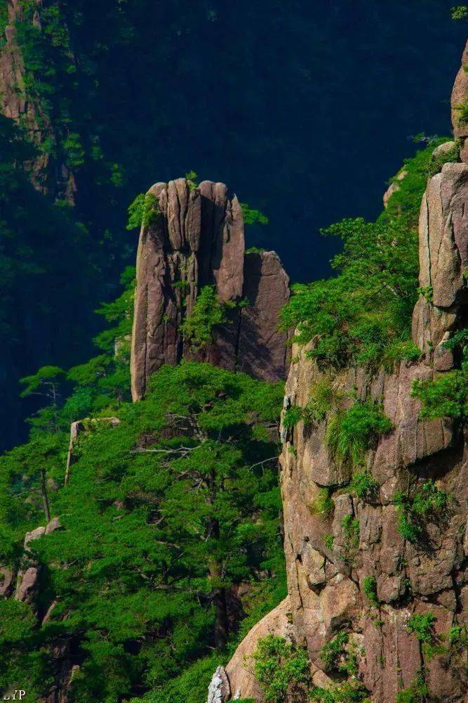 黄山奇石的照片图片