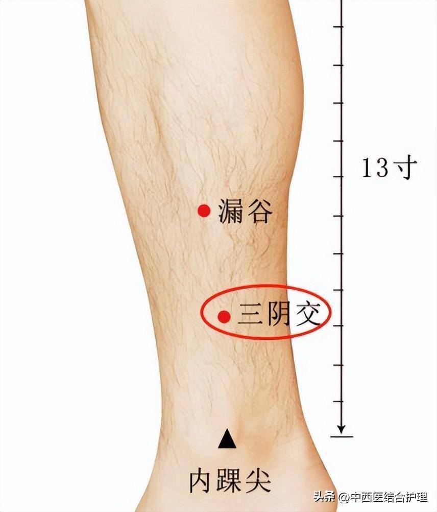 「腿部穴位按摩」小腿,一身陰毒的大本營_疾病_陽氣_人體