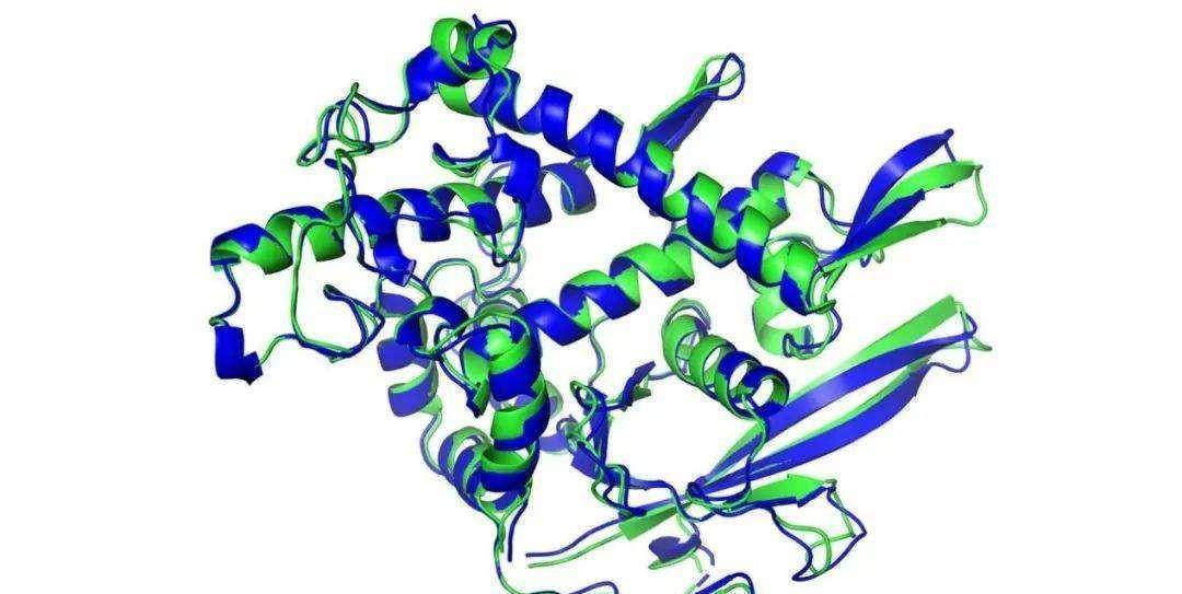 蜘蛛是怎么吐丝的,如果蛛丝吐完了,蜘蛛会不会"丝尽蛛亡"?