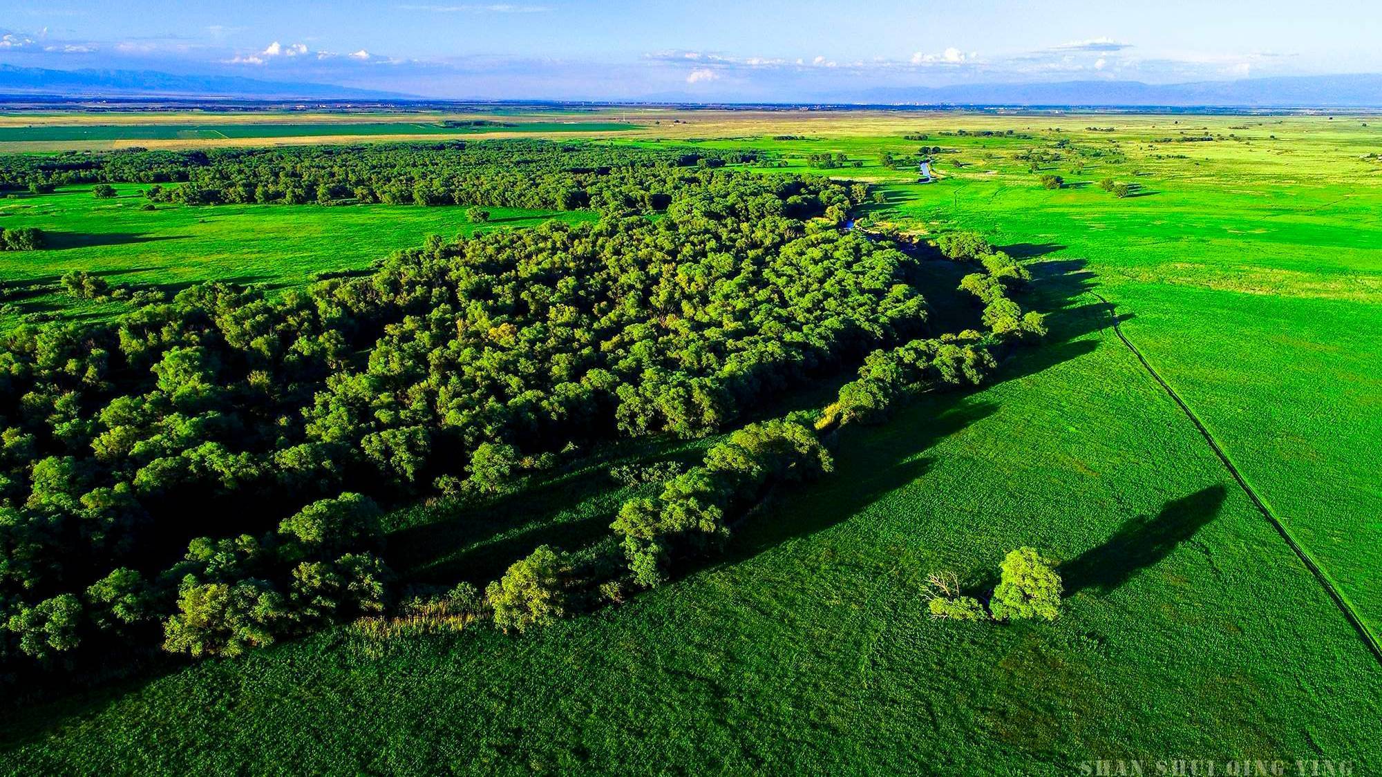稻花香里说丰年 | "青山绿水 梦韵金秋"之旅_旅游_阿山_额敏