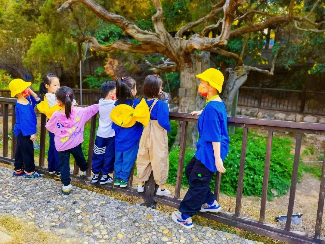 【五律】《草庵千年桧》庄灿煌