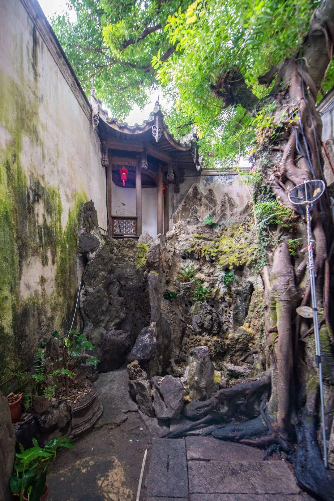 名城分享|塔巷王氏民居:三坊七巷中的私家园林精品_双伟_单位_厅堂