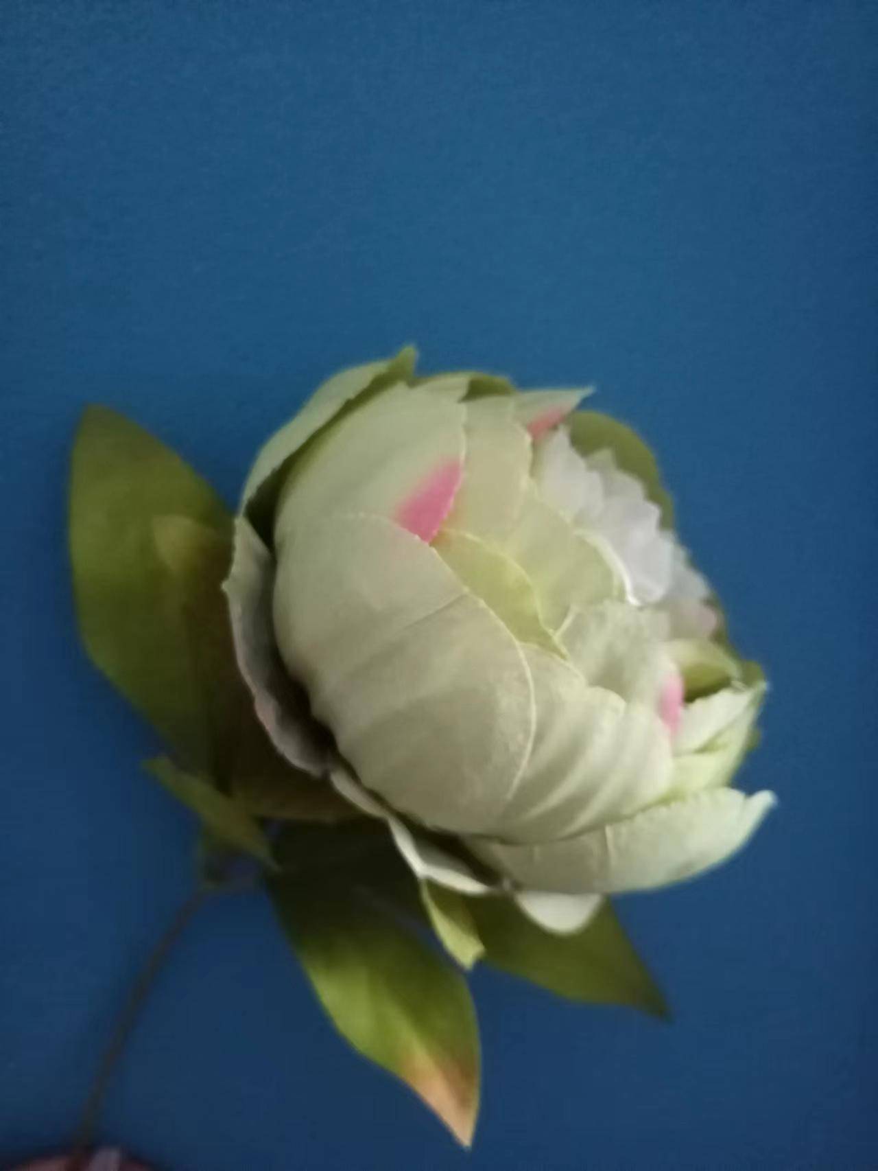 11月22日生肖运势 生肖羊生肖牛生肖兔 收入 财运 其他