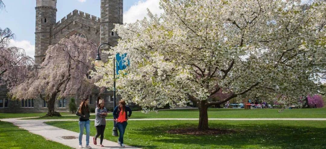 顶尖女校——布林莫尔学院_mawr_bryn_研究生