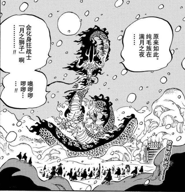 尾田珍藏的秘密世界地图,全方位带你了解海贼王星球!