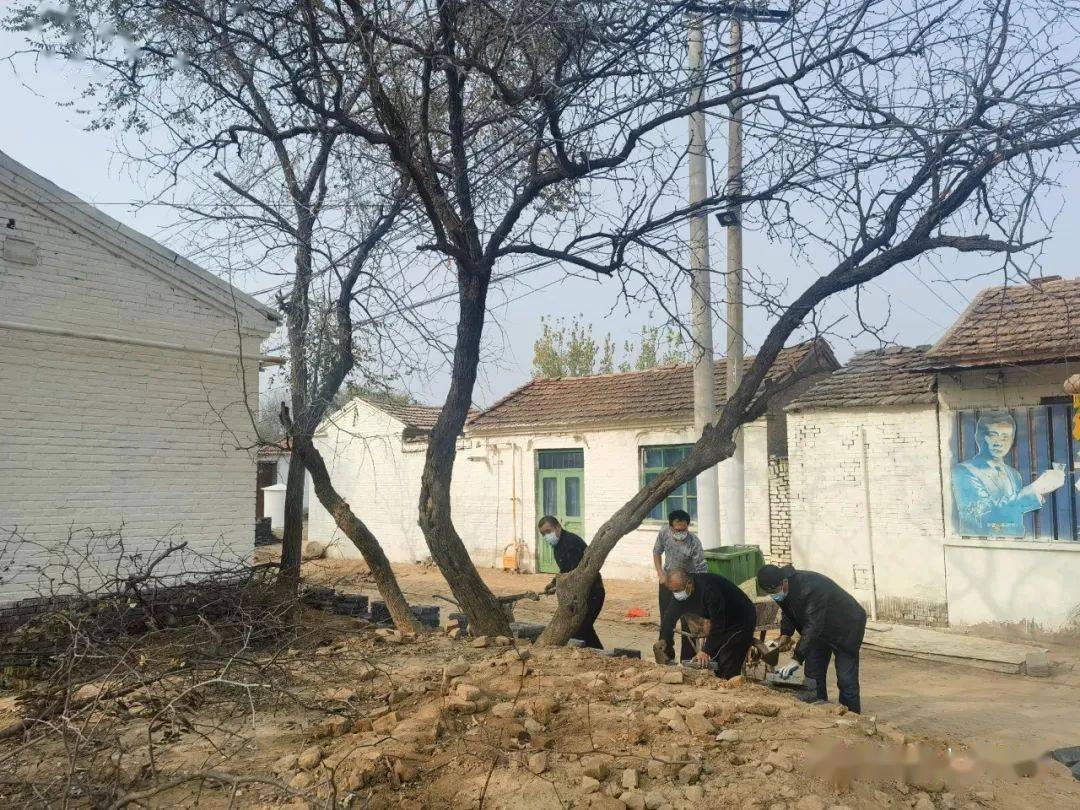 县委书记王立峰到武官寨镇进行现场办公_建设_镇村_乡村