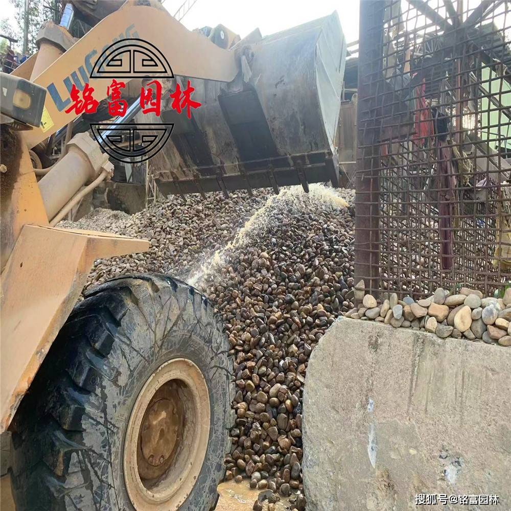 没想到（鹅卵石装饰庭院）庭院大鹅卵石铺设效果图，(图4)