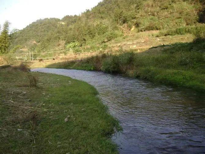 【百侯文学】七律～欣逢赖总联想飞天马品牌有咏_邱汉章_教村_溪水