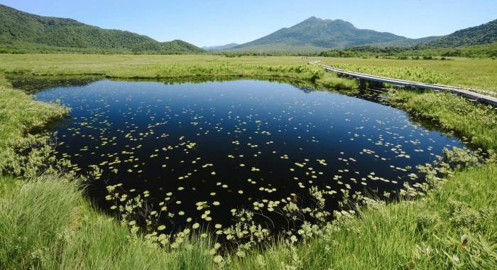 数字化不是概念与忽悠,是家电企业的利润和未来-家电圈官网