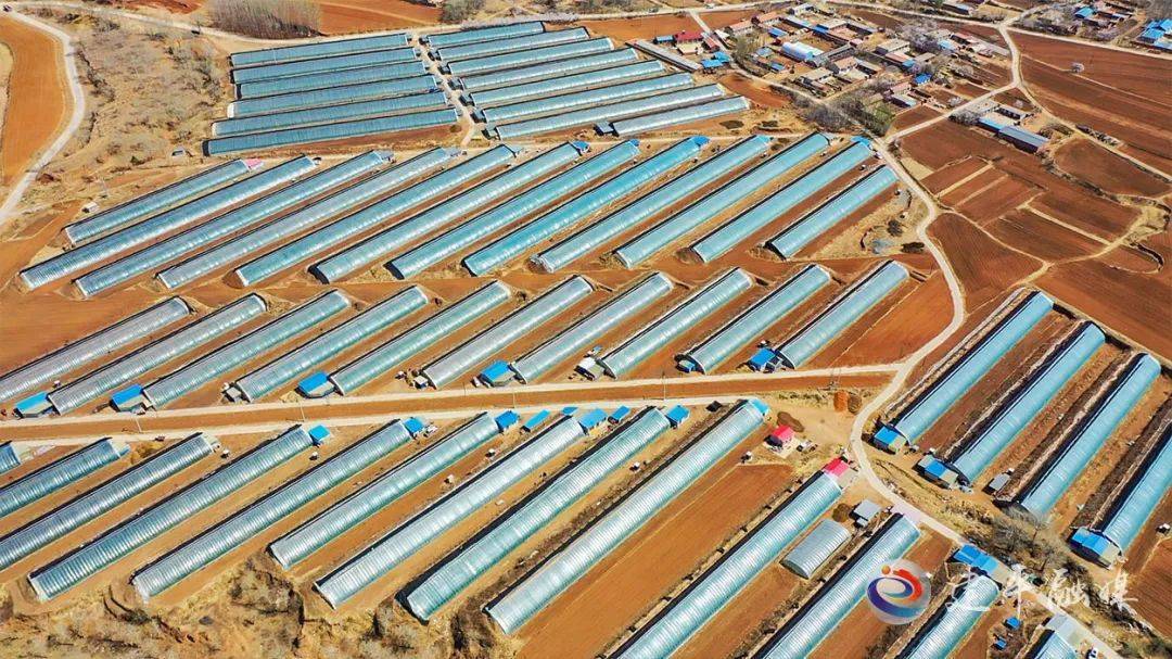 行走在榆树林子镇中官村绿色农业示范园棚区,一栋栋