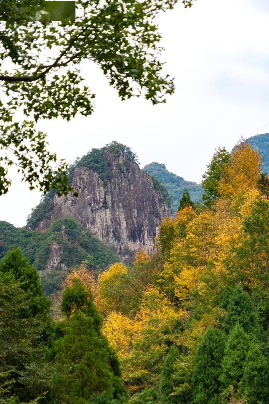 淡竹乡旅游图片