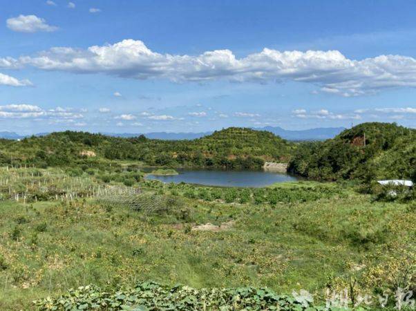 通城县大坪乡花墩村:以共同缔造赋能联农带农_发展_村民_产业