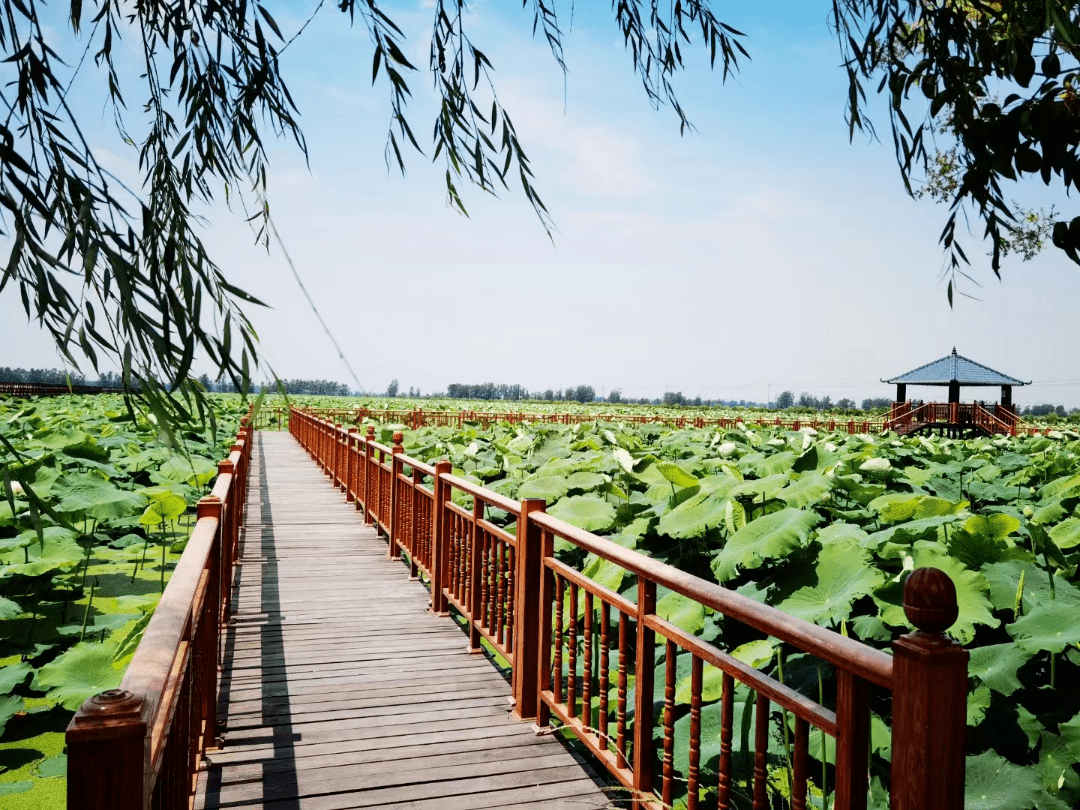 2022年上半年,霍邱县旅游工作指导委员会办公室印发《关于开展"大美