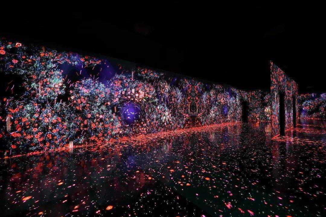 [k11 x arte m] 韩国至大型沉浸式数字艺术展览海外展登陆香港_com_大
