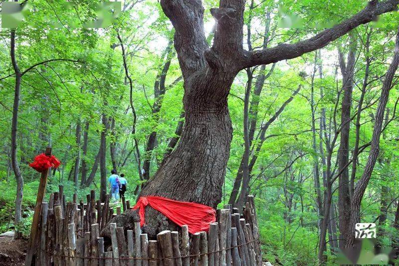 祝贺!辽宁新增4个国家4a级景区