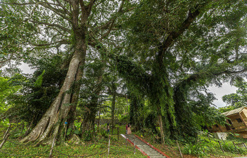 百花岭风景区图片图片