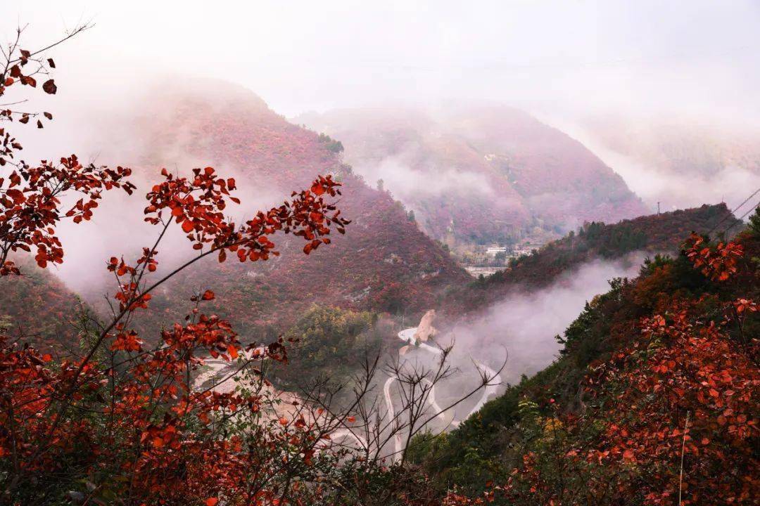 陇南市两当县:山峦叠嶂生层云 曲径通幽有人家_美景_甘肃_秋水