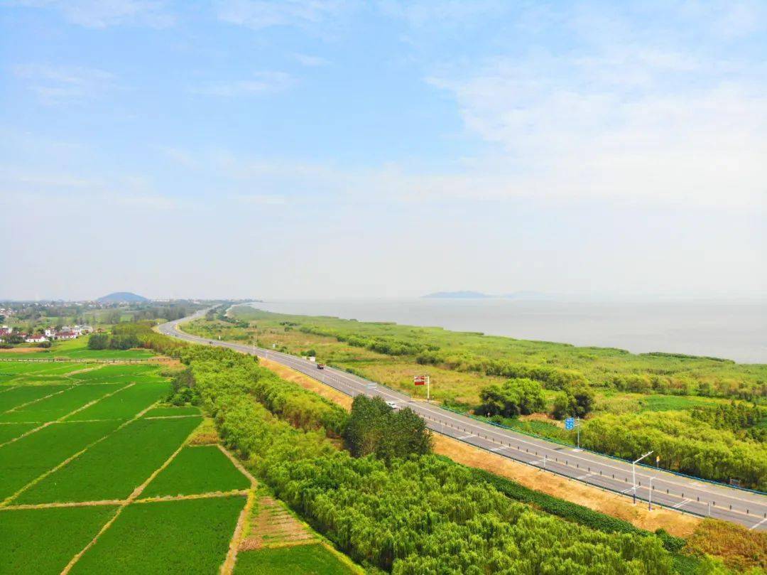 庐江这个村,有你向往的生活~_建设_道路_游客
