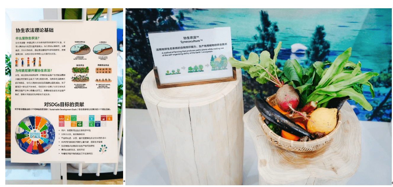 零距离体验索尼的黑科技与环保力 LinkBuds系列耳机互动展来了-家电圈官网