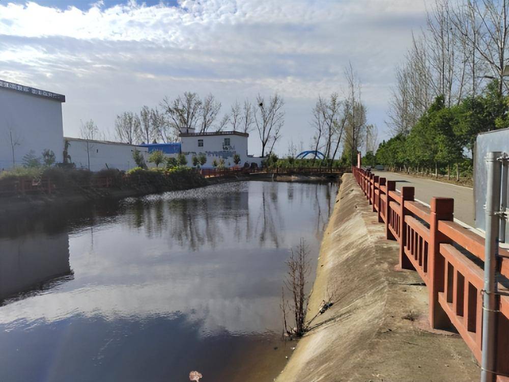 社旗县桥头镇以人居环境整治为抓手,促"生态宜居"星创建_建设_平台