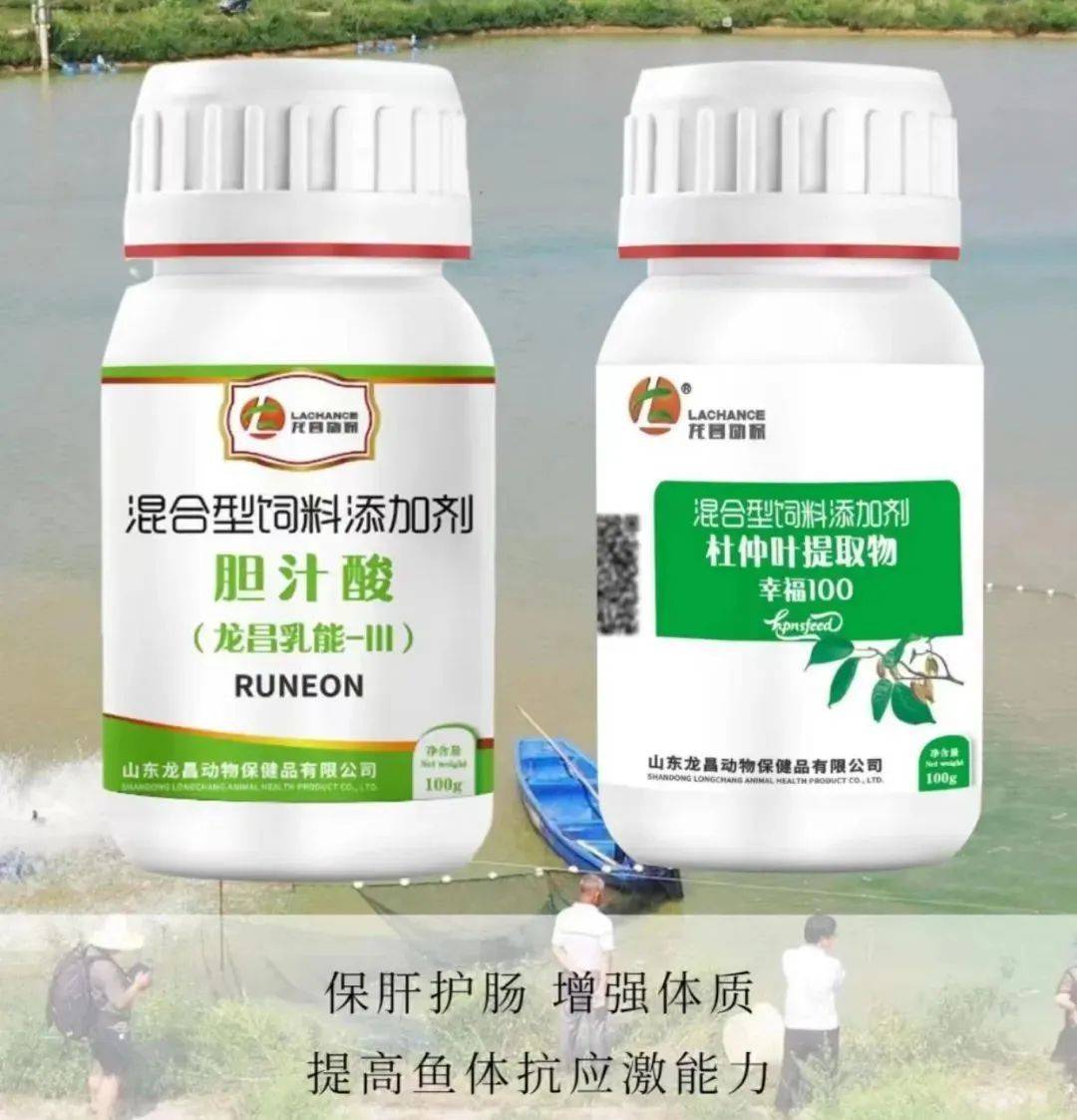 加州鲈水花标粗成活率不足一成,谁才是影响成活率的拦路虎?