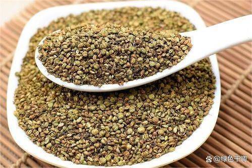 科普:辛香料石落子的用途,能不能替代小茴香,附带灌肠做法配方_进行