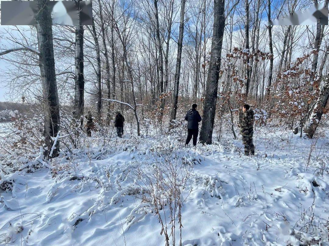 在巡林过程中,巡林队重点查看了林区内有无盗伐林木现象,对鸟网,兽夹