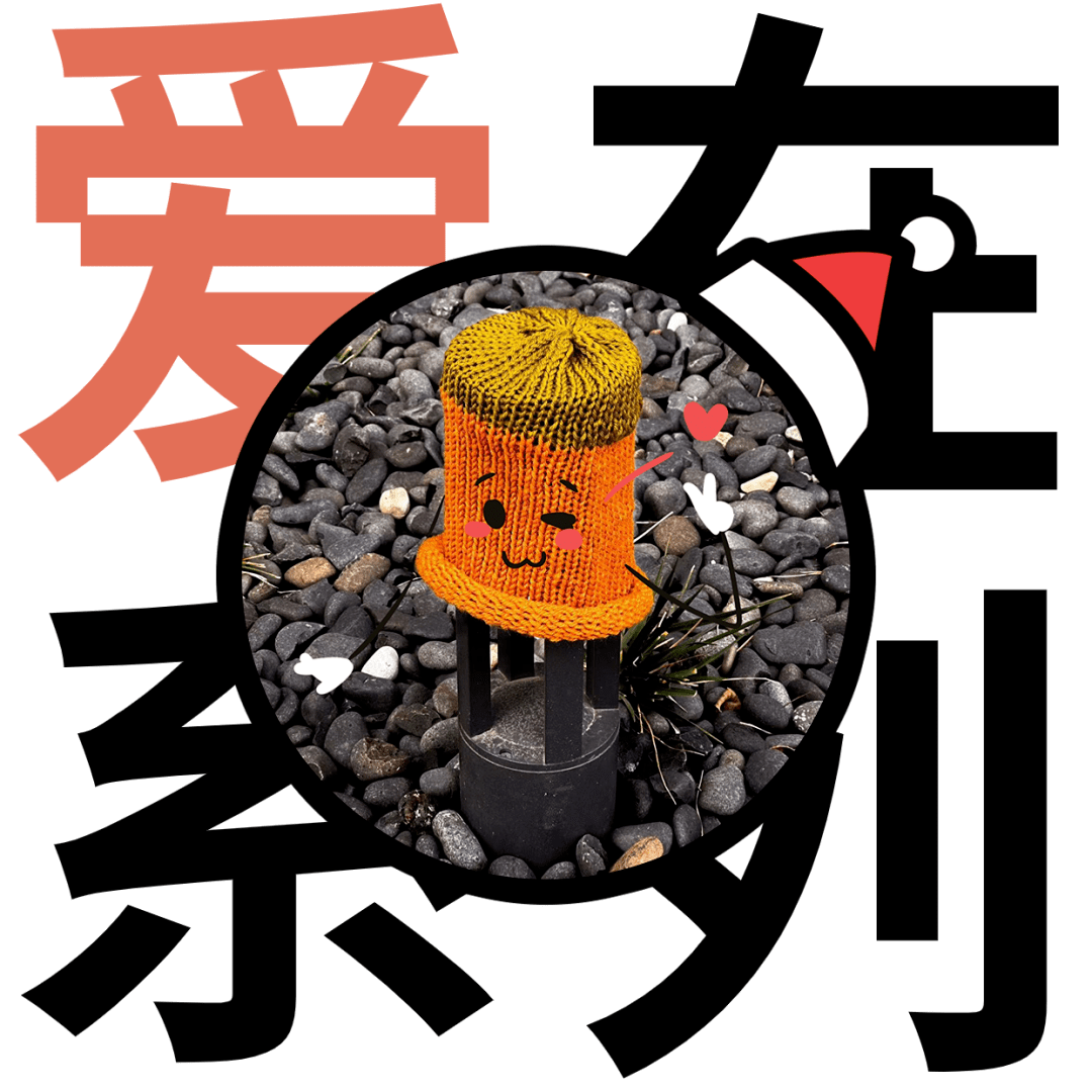 爱在华灯初上时|"真是盖了帽儿了!"_同学_小怪_小帽