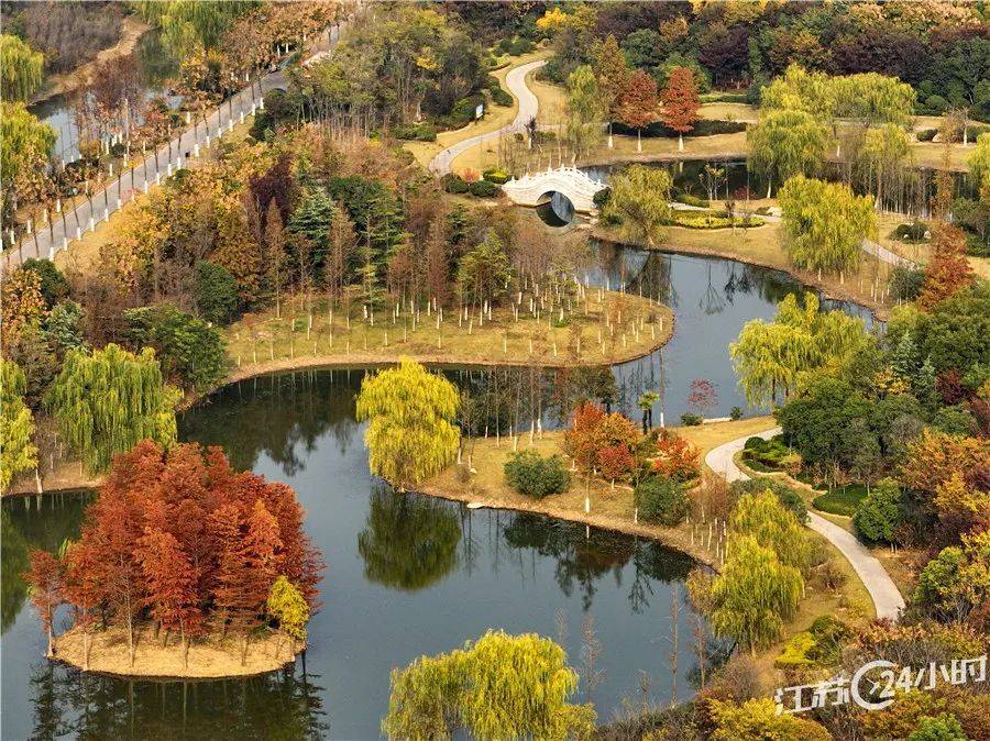 11月30日,曾经的采煤塌陷地蝶变生态绿苑,徐州大黄山森林公园层林尽染