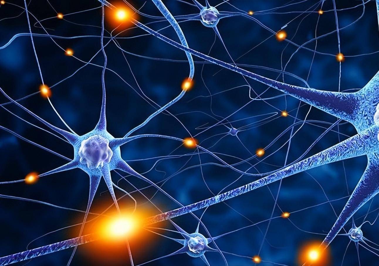 人类生活在高维生物的大脑里?列举相似特点_星系_神经元_天体