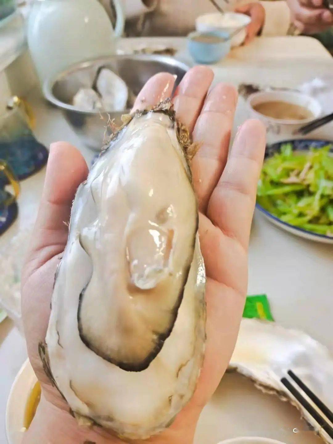 乳山极品生蚝王~特级10斤装,省内包邮到家_关火_时候_平面