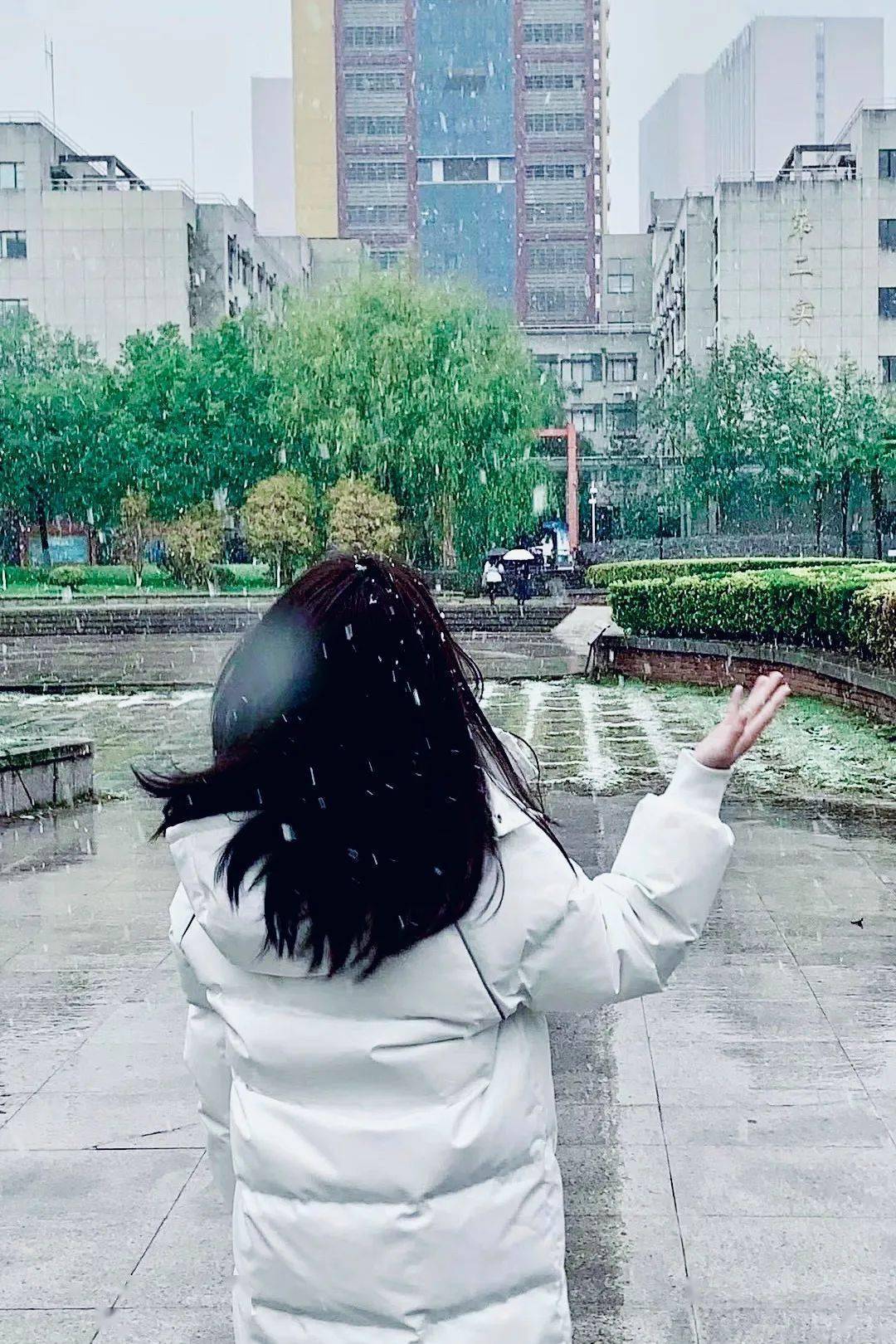 有雪入怀,漫漫亦慢慢