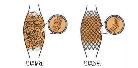 2022筋膜枪怎么选?深度测评飞利浦/未野/小米/artsmith哪款好?