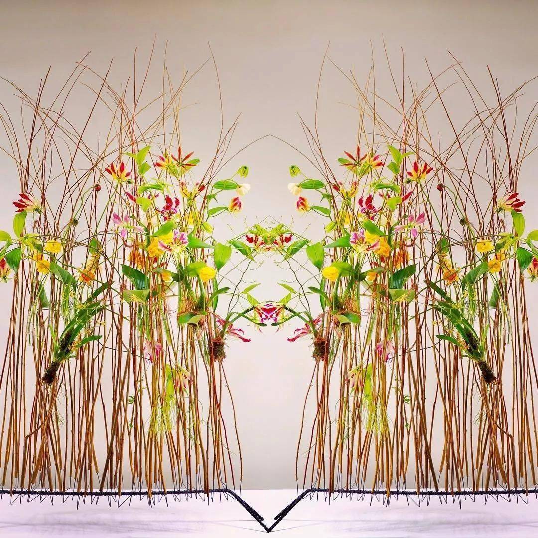 架构花艺的美,你才见识了一点点!_作品_gregor_lersch