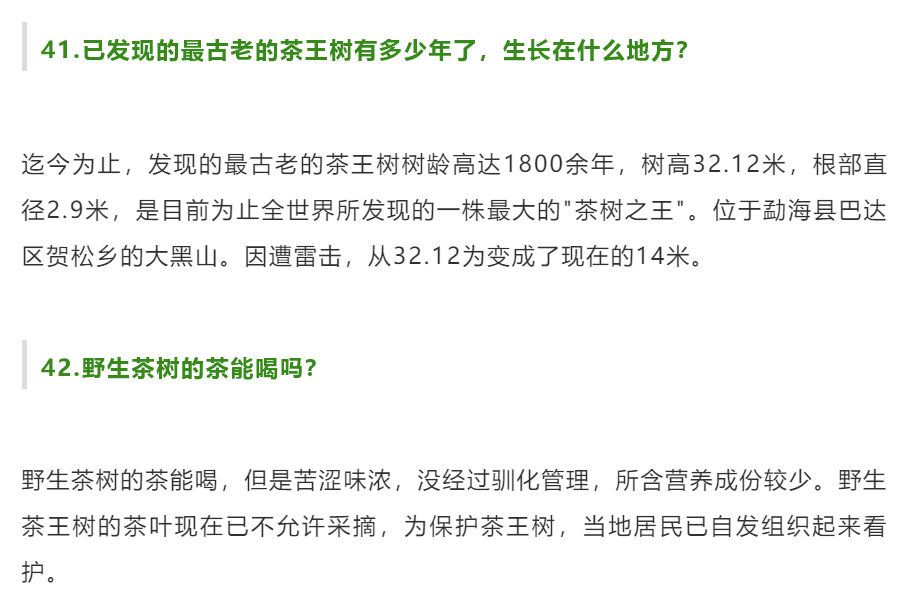 (文章很长,请耐心看完)_茶山_口感_乔木