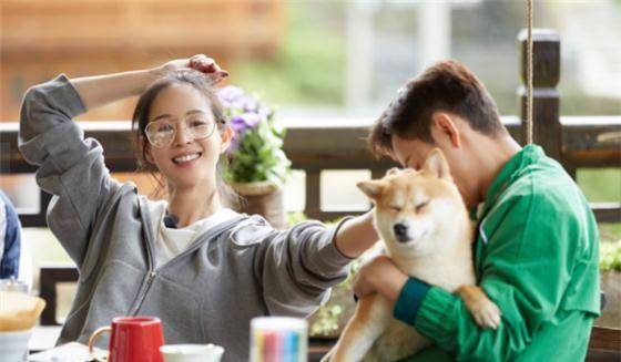 《向往的生活》张钧甯向黄磊撒娇,行为亲昵,这个程度合适吗?