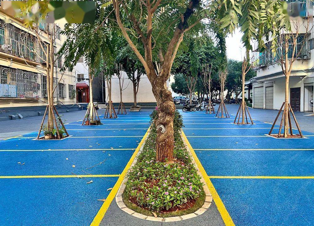 元江县改造老旧小区美化居住环境_西门村_片区_建筑