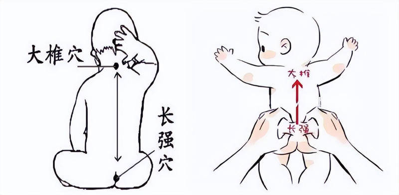 (二)艾灸操作方法:艾条悬灸或艾灸盒艾灸足三里,大椎穴,或隔姜灸神阙