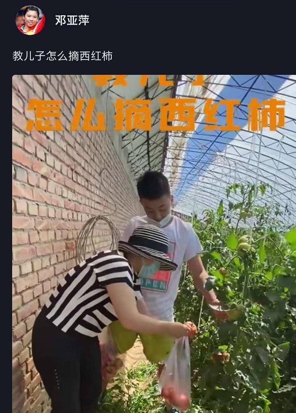 原创
邓亚萍教14岁儿子如何摘西红柿，却遭网友嘲讽：这也需要教？插图4