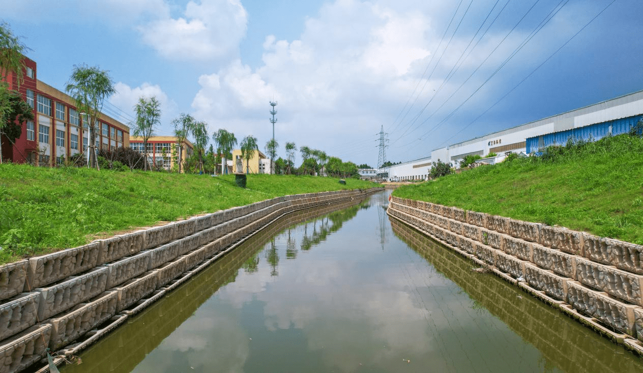 洋大河综合整治工程顺利通过竣工验收_施工_宿迁市_河道