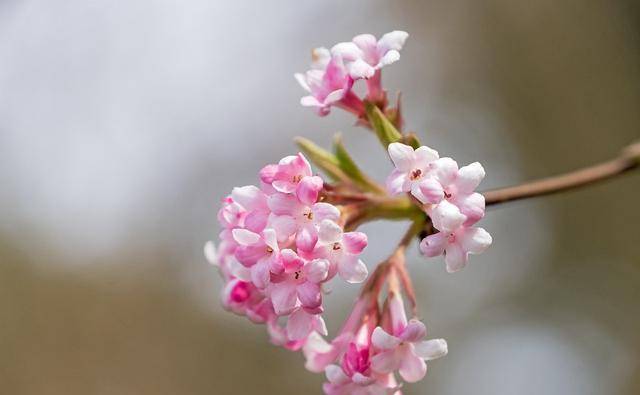 人生百味,知足才能看得见幸福,才能保持愉悦的心情,随心随缘,不攀比