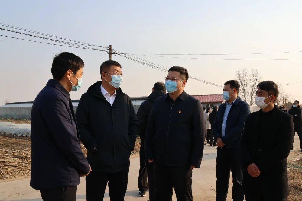 平度古岘:主动出击让滞销蔬菜搭上销售"直通车"_青岛市_古岘镇_爱心