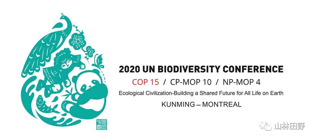 COP15会前看点：为什么全球急需《2020年后生物多样性纲要》来守护自然？_目标_会议_企业