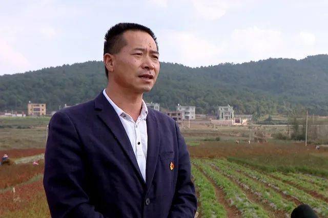 宣威羊场镇宗德村:打造精品示范村 引领乡村全面发展_种植_辣椒_产业