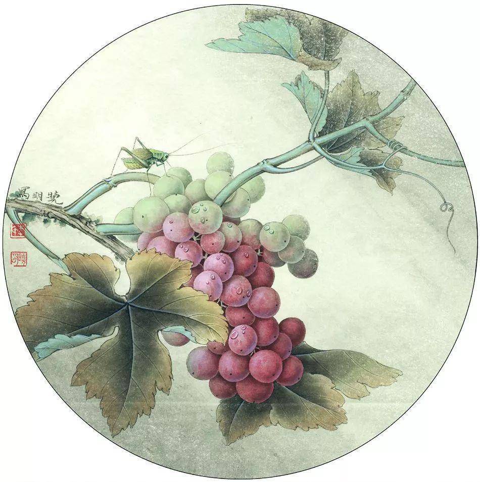 李晓明老师的工笔花鸟画,真是恰到妙处_水仙_水墨_葡萄