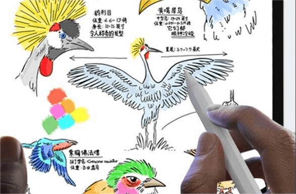 电容笔和触控笔有啥区别?双十二质量好的电容笔推荐